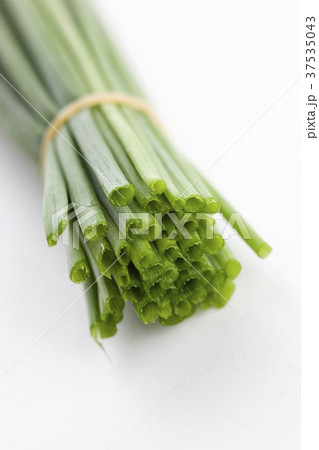 A bunch of fresh chives A bunch of fresh chives 37535043