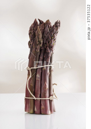 A bunch of purple asparagus A bunch of purple asparagus 37535122