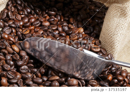 French Roast Whole Coffee Beans 37535197