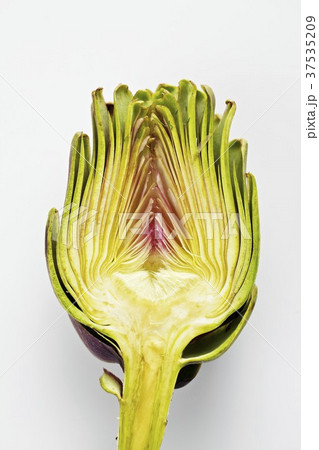 Half an artichoke on a white surface 37535209