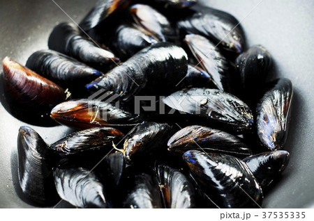 Mussels Mussels 37535335