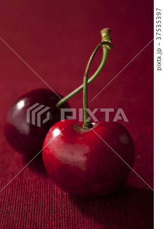 Two Cherries with Connected Stems on a Red Table Cloth Two Cherries with Connected Stems on a Red Table Cloth 37535397