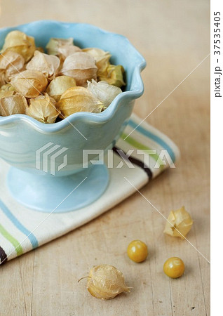 Husk Cherries (Ground Cherries) from Thirty Acre Farm in Whitefield, Maine 37535405