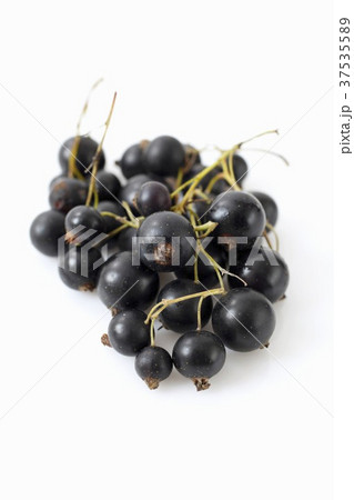 Blackcurrants Blackcurrants 37535589