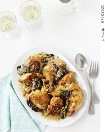 Chicken with morel mushrooms 37535620