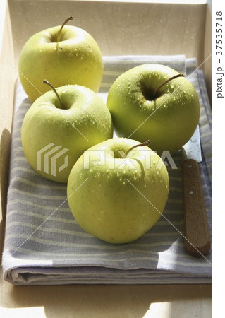 Apples on a tea towel with a knife Apples on a tea towel with a knife 37535718