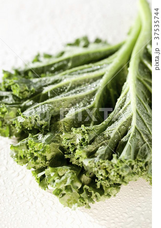 Freshly Washed Organic Kale 37535744