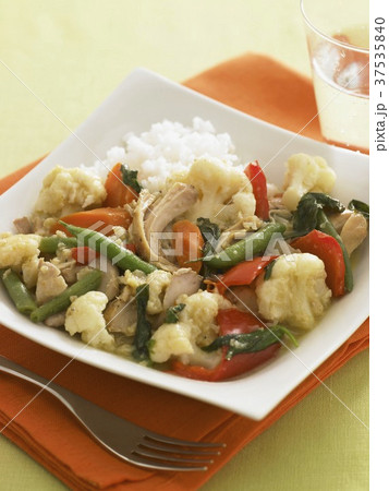 Chicken Vegetable Stew on a Square Plate with Rice 37535840