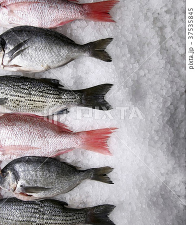 Assorted Whole Fresh Fish on Ice 37535845