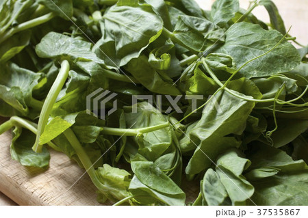 Fresh Pea Shoots on a Cutting Board Fresh Pea Shoots on a Cutting Board 37535867