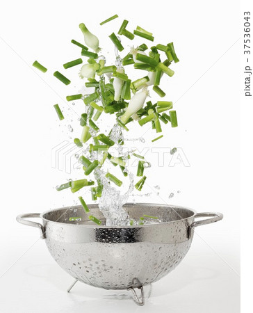 Spring onions and splash of water falling into a colander 37536043