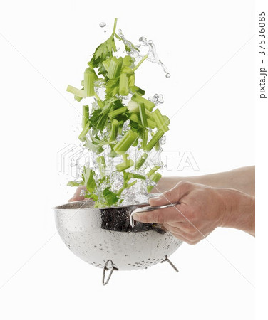 Washing celery in a colander 37536085
