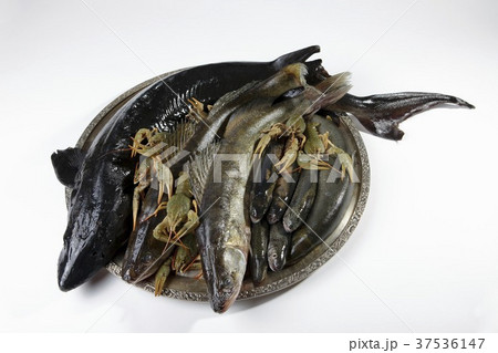 Fresh water and crayfish on a zinc plate 37536147