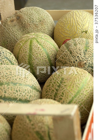 Galia melons in a wooden crate 37536207