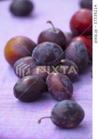 Fresh plums (close-up) Fresh plums (close-up) 37536214