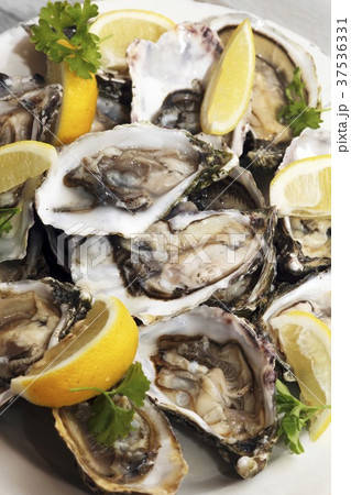Fresh Irish oysters with lemon wedges 37536331