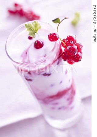 A layered yogurt dessert with redcurrants 37536332