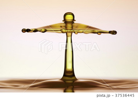 Water splash (in the shape of an umbrella) Water splash (in the shape of an umbrella) 37536445