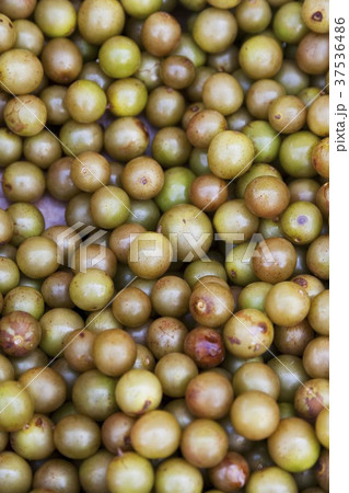 Muscadines 37536486