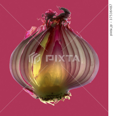 Half a red onion Half a red onion 37536487