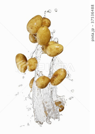 Potatoes and a splash of water Potatoes and a splash of water 37536488