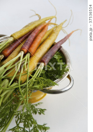 Various types of carrots: yellow carrots (Pfälzer, Lobbericher) and anthonina 37536554