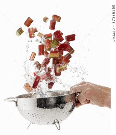 Washing rhubarb slices in a colander 37536569
