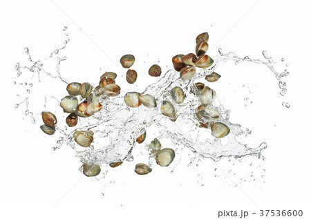 Mussels with water splash 37536600