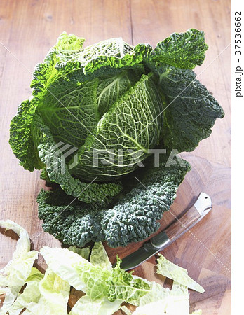 Savoy cabbage, partially sliced 37536662