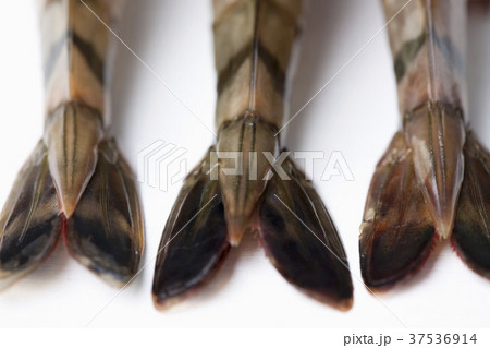 Three prawn tails (close-up) 37536914