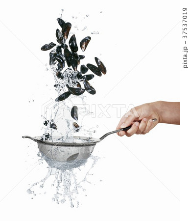 Washing Mussels in a Colander 37537019