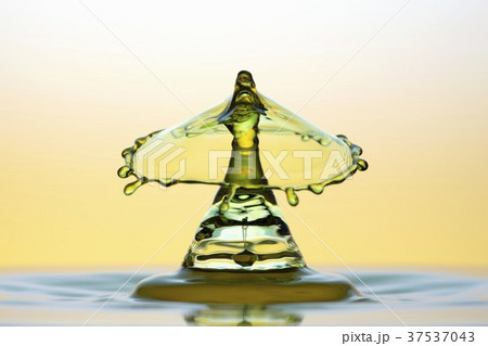 Water splash 37537043