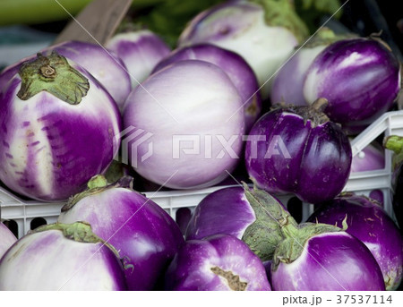 Eggplants in crates 37537114