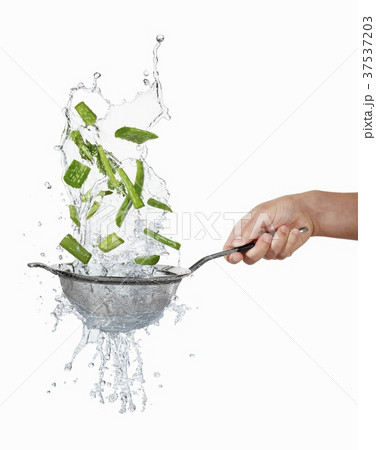 Aloe vera and water in sieve Aloe vera and water in sieve 37537203