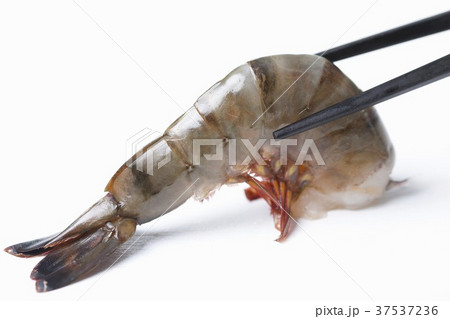 Raw prawn held in chopsticks (close-up) Raw prawn held in chopsticks (close-up) 37537236