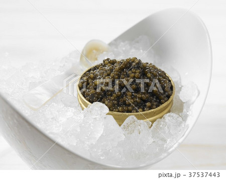 Beluga caviar on ice 37537443
