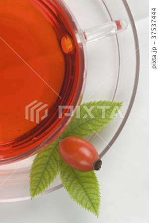 Rose hip tea and rose hip Rose hip tea and rose hip 37537444
