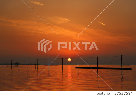東京湾の夕日 37537584