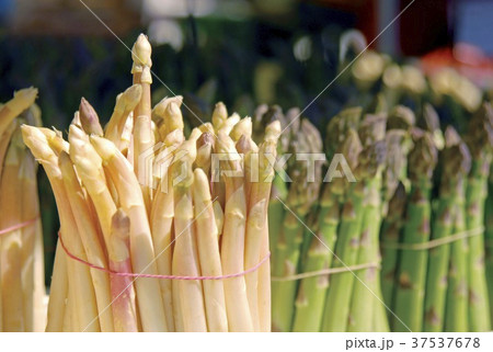 Green and white asparagus 37537678