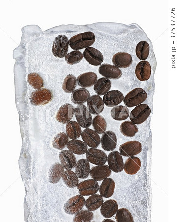 Coffee beans in a block of ice 37537726