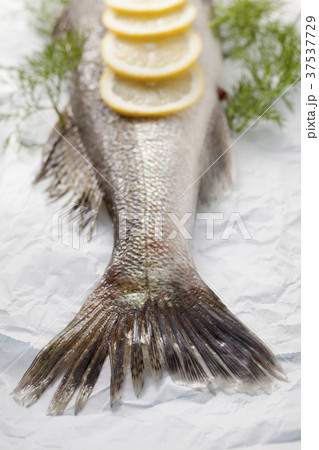 A fish with lemons and dill on parchment paper (detail) A fish with lemons and dill on parchment paper (detail) 37537729
