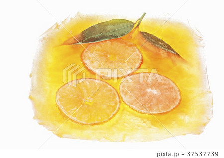 Orange slices in a block of ice 37537739