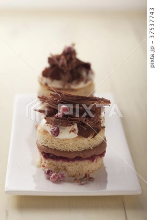 Chocolate tartlets with cream and redcurrants Chocolate tartlets with cream and redcurrants 37537743