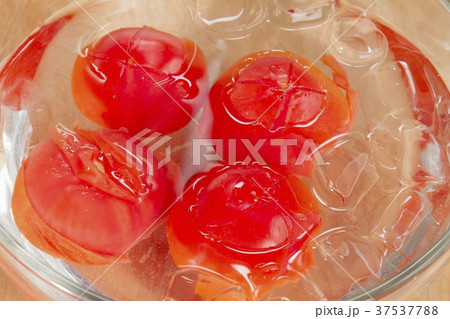 Tomatoes being quenched in iced water 37537788