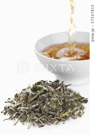 White tea (leaves and drink) White tea (leaves and drink) 37537815