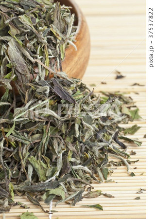 White tea leaves 37537822