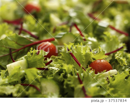 Green salad with cherry tomatoes and cucumber (close up) Green salad with cherry tomatoes and cucumber (close up) 37537834