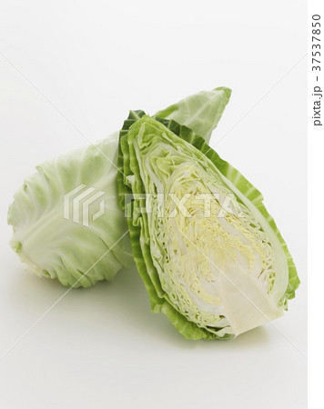A pointed cabbage, cut in half 37537850