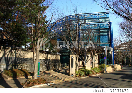 世田谷文学館 37537879