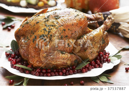 Whole Roast Turkey on a Platter with Cranberries and Bay Leaves Whole Roast Turkey on a Platter with Cranberries and Bay Leaves 37537887